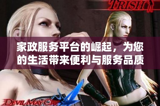 家政服务平台的崛起，为您的生活带来便利与服务品质提升