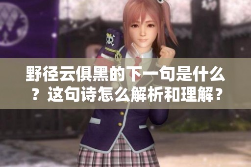 野径云俱黑的下一句是什么？这句诗怎么解析和理解？