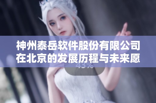 神州泰岳软件股份有限公司在北京的发展历程与未来愿景探讨
