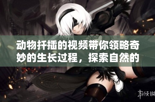 动物扦插的视频带你领略奇妙的生长过程，探索自然的奥秘和技巧