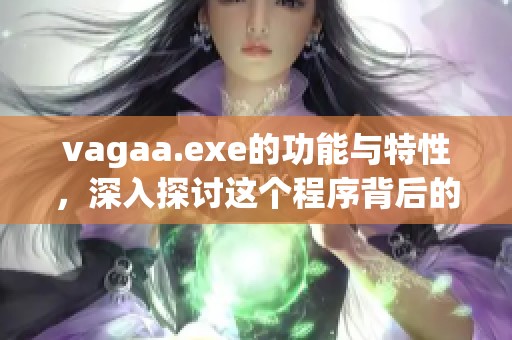 vagaa.exe的功能与特性，深入探讨这个程序背后的应用解析