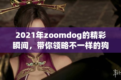 2021年zoomdog的精彩瞬间，带你领略不一样的狗狗世界