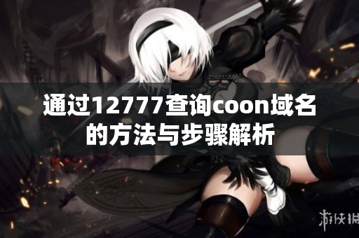 通过12777查询coon域名的方法与步骤解析