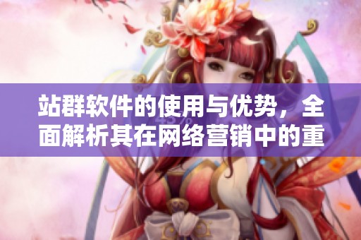 站群软件的使用与优势，全面解析其在网络营销中的重要性