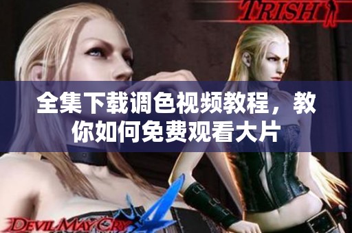 全集下载调色视频教程，教你如何免费观看大片