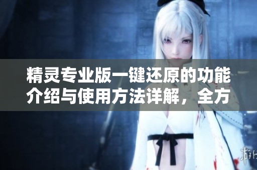 精灵专业版一键还原的功能介绍与使用方法详解，全方位解析用户体验