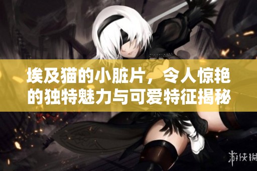 埃及猫的小脏片，令人惊艳的独特魅力与可爱特征揭秘
