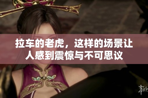 拉车的老虎，这样的场景让人感到震惊与不可思议