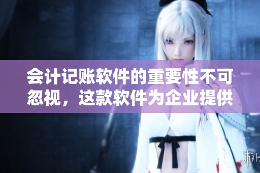 会计记账软件的重要性不可忽视，这款软件为企业提供了高效的财务管理解决方案