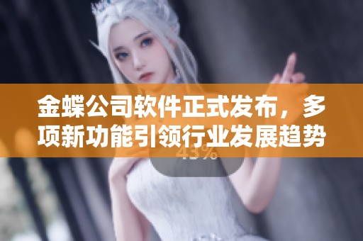 金蝶公司软件正式发布，多项新功能引领行业发展趋势