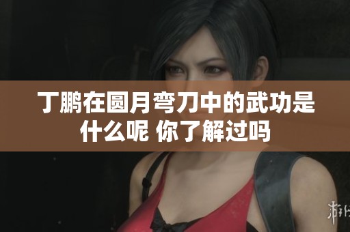 丁鹏在圆月弯刀中的武功是什么呢 你了解过吗