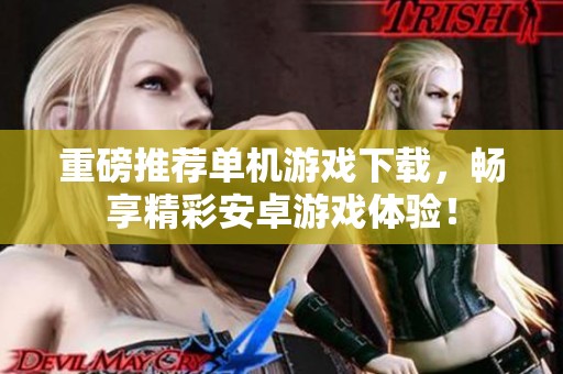 重磅推荐单机游戏下载，畅享精彩安卓游戏体验！