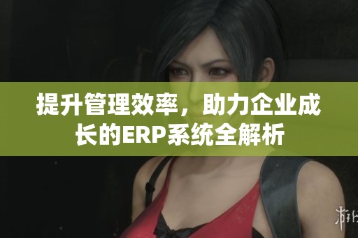 提升管理效率，助力企业成长的ERP系统全解析
