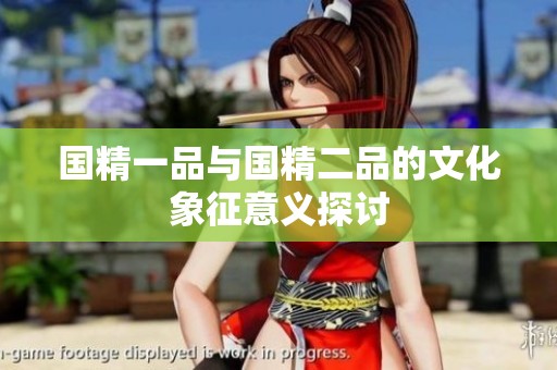 国精一品与国精二品的文化象征意义探讨