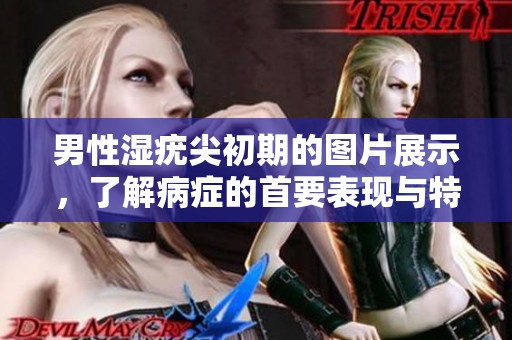 男性湿疣尖初期的图片展示，了解病症的首要表现与特点