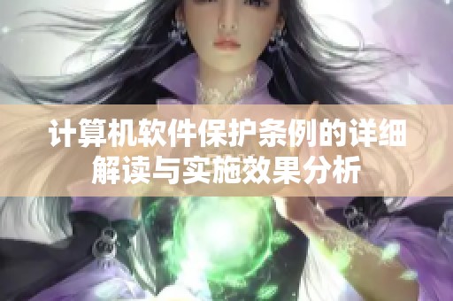 计算机软件保护条例的详细解读与实施效果分析