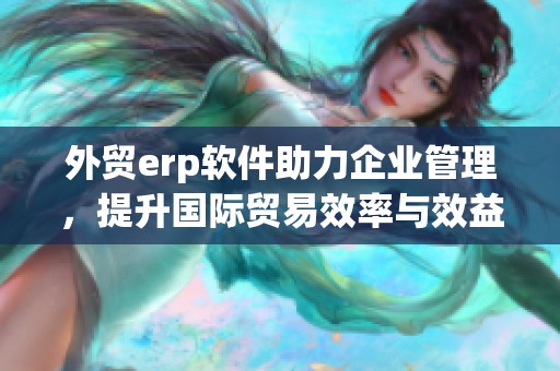 外贸erp软件助力企业管理，提升国际贸易效率与效益