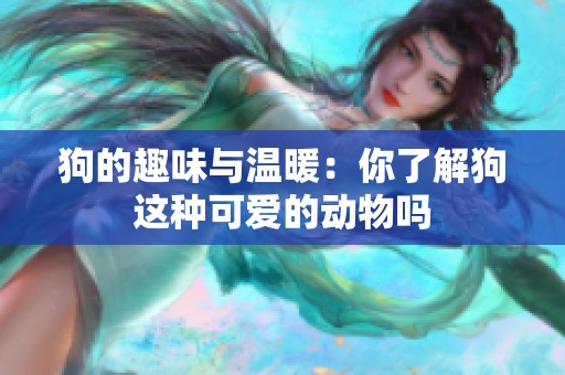 狗的趣味与温暖：你了解狗这种可爱的动物吗