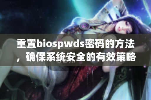 重置biospwds密码的方法，确保系统安全的有效策略与步骤