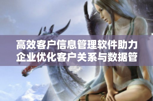 高效客户信息管理软件助力企业优化客户关系与数据管理