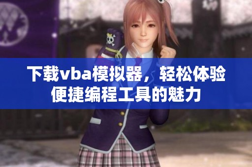 下载vba模拟器，轻松体验便捷编程工具的魅力