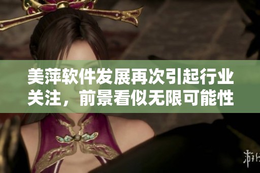 美萍软件发展再次引起行业关注，前景看似无限可能性。