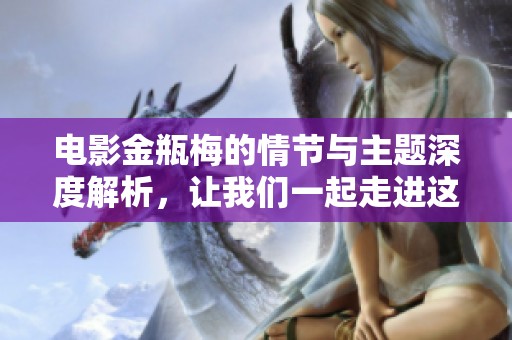 电影金瓶梅的情节与主题深度解析，让我们一起走进这个经典作品的世界。