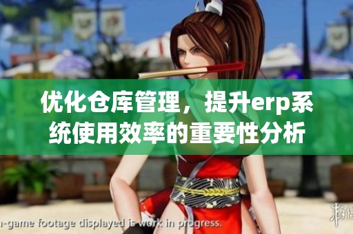 优化仓库管理，提升erp系统使用效率的重要性分析