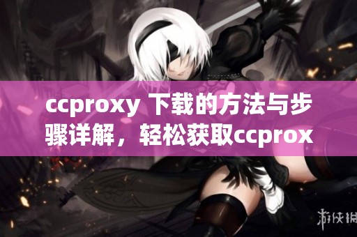 ccproxy 下载的方法与步骤详解，轻松获取ccproxy 下载服务