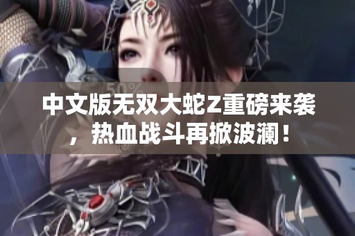 中文版无双大蛇Z重磅来袭，热血战斗再掀波澜！