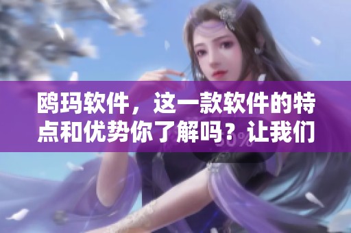 鸥玛软件，这一款软件的特点和优势你了解吗？让我们来一起探索它的魅力。