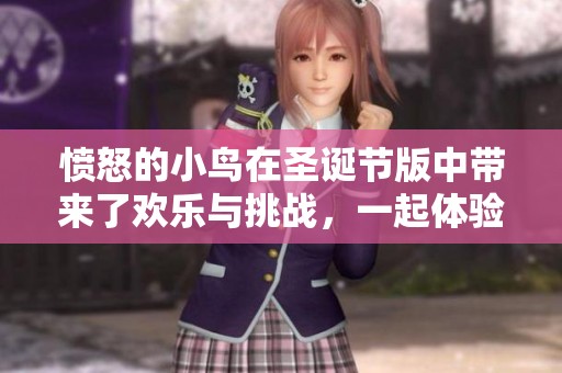 愤怒的小鸟在圣诞节版中带来了欢乐与挑战，一起体验这段精彩旅程吧！