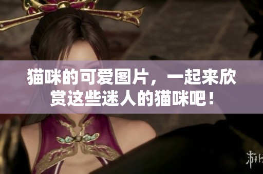 猫咪的可爱图片，一起来欣赏这些迷人的猫咪吧！