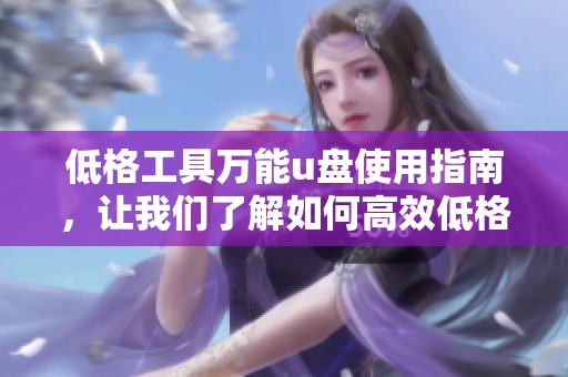 低格工具万能u盘使用指南，让我们了解如何高效低格u盘