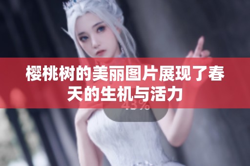 樱桃树的美丽图片展现了春天的生机与活力