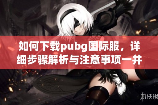 如何下载pubg国际服，详细步骤解析与注意事项一并提供