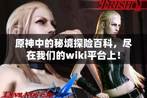 原神中的秘境探险百科，尽在我们的wiki平台上！