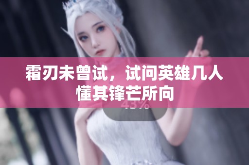 霜刃未曾试，试问英雄几人懂其锋芒所向