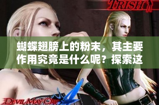 蝴蝶翅膀上的粉末，其主要作用究竟是什么呢？探索这些粉末背后的秘密。