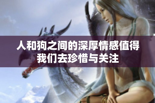 人和狗之间的深厚情感值得我们去珍惜与关注