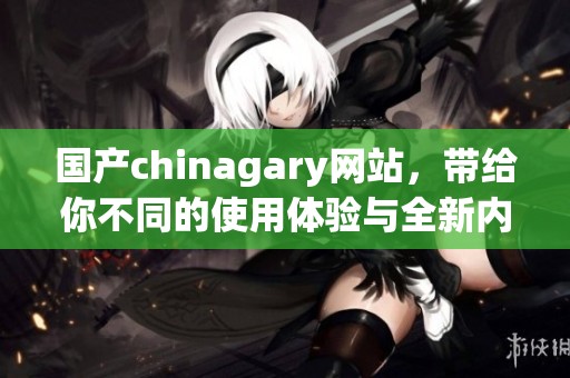 国产chinagary网站，带给你不同的使用体验与全新内容分享。