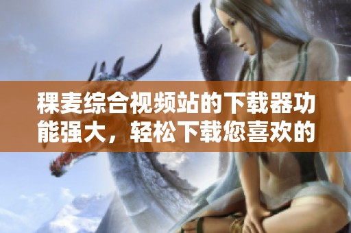 稞麦综合视频站的下载器功能强大，轻松下载您喜欢的视频内容
