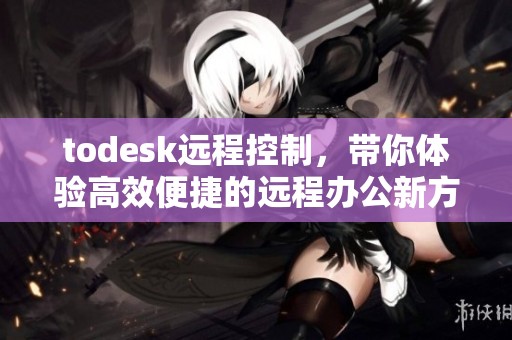 todesk远程控制，带你体验高效便捷的远程办公新方式