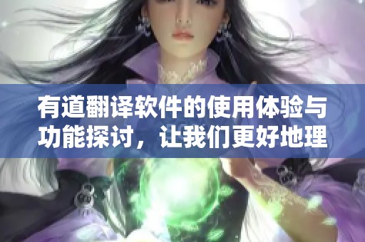 有道翻译软件的使用体验与功能探讨，让我们更好地理解这款工具