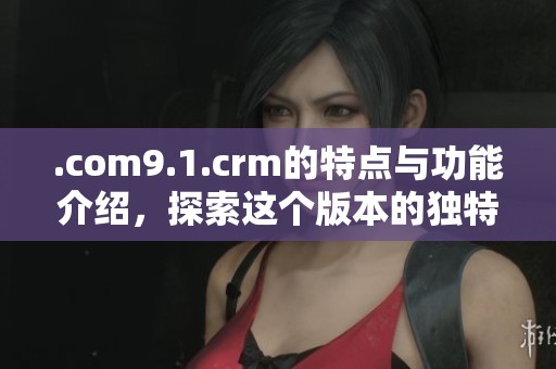 .com9.1.crm的特点与功能介绍，探索这个版本的独特优势和应用场景
