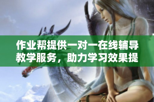 作业帮提供一对一在线辅导教学服务，助力学习效果提升。