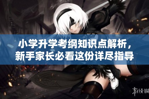 小学升学考纲知识点解析，新手家长必看这份详尽指导方案