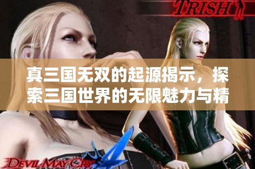 真三国无双的起源揭示，探索三国世界的无限魅力与精彩对战