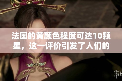 法国的黄颜色程度可达10颗星，这一评价引发了人们的关注与讨论。