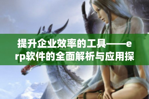 提升企业效率的工具——erp软件的全面解析与应用探讨